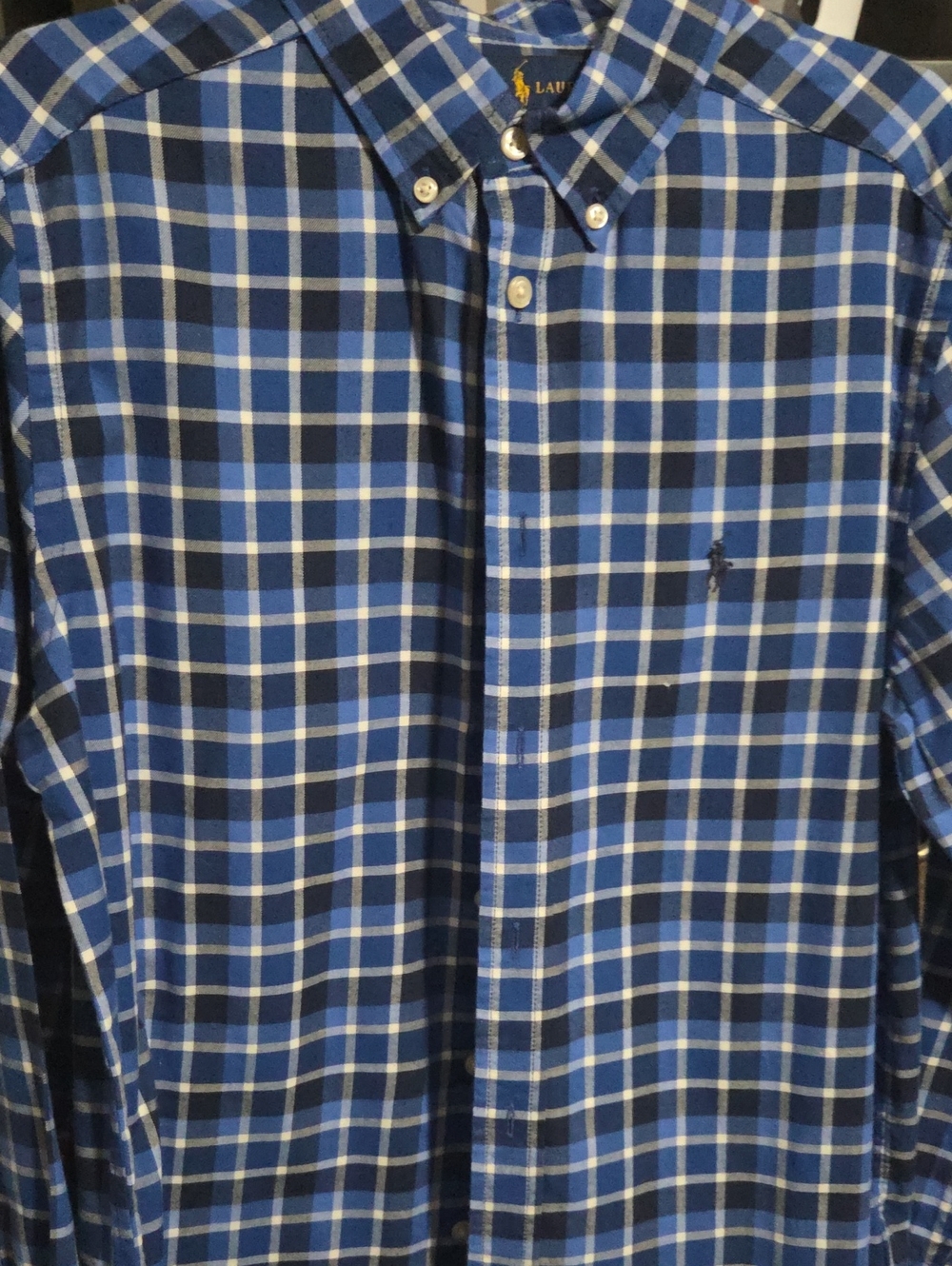 Polo by Ralph Lauren Blue and White Plaid Button-Down Shirt